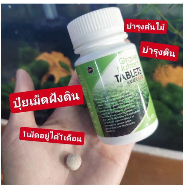 PSU241-ปุ๋ยเม็ด​ ฝังดินบ​ำรุงไม้น้ำ​ บำรุงดิน??ซื้อ2แถม1เม็ดไม่อันตรายต่อสัตว์​น้ำ