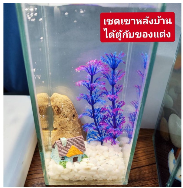 PSU248-ตู้ปลากัด​เล็ก​3*7 แต่งตู้ปลา​ได้